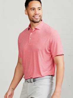 tasc Cloud Polo - Brookline Stripe